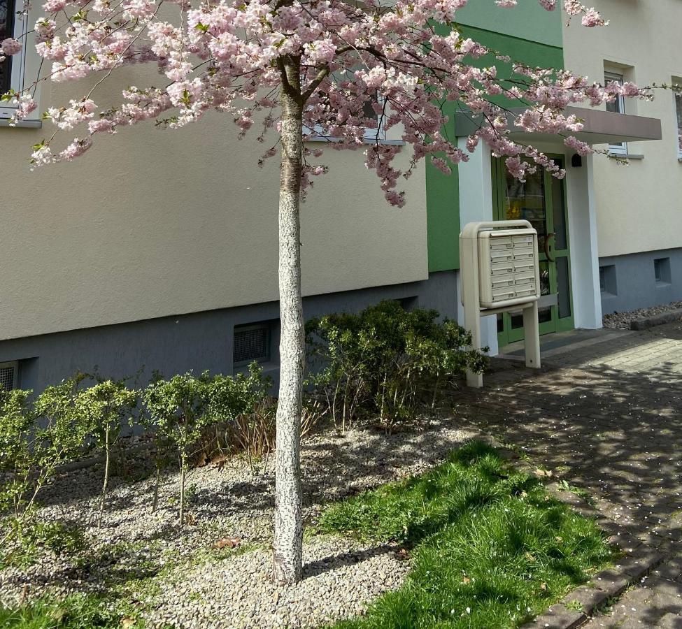 Schoene Kleine Wohnung Cottbus Dış mekan fotoğraf